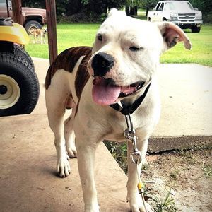 Meet your Posher, Tanner